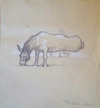 `` Eselsalami `` ; Bleistift und Holzbuntstift auf Briefpapier ; 23 x 25 cm ; 2019